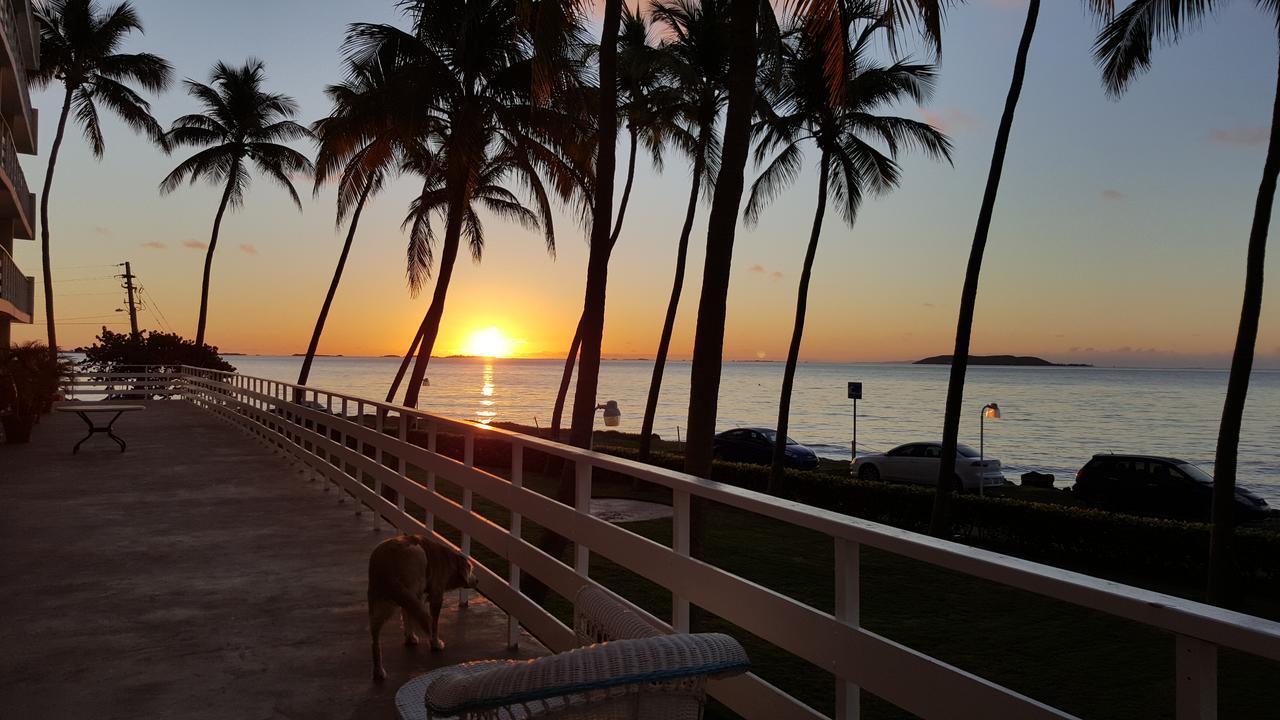 Cozy Apartment, Ocean Front Fajardo Kamer foto